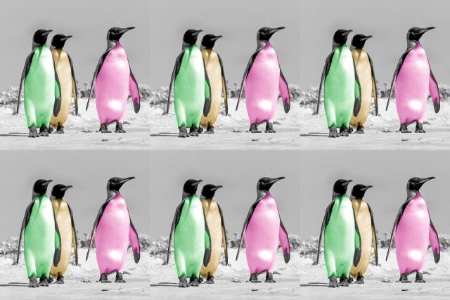 Warhol-Pinguine als non-fungible token (NFT)