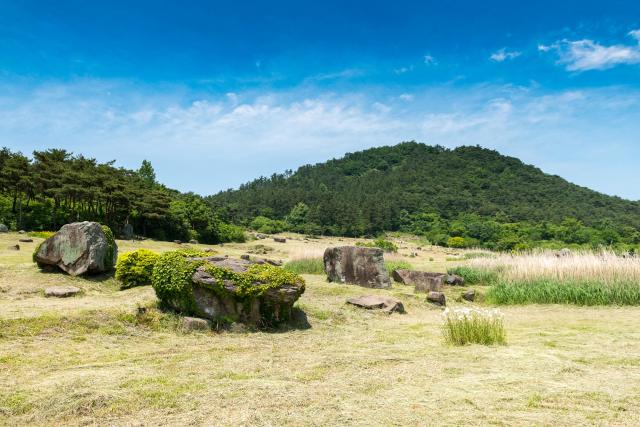 Gochang Dolmen Museum