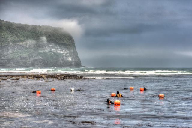 The sea women (Haenyo) from the South Korean island of Jeju.