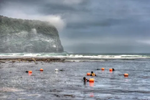 The sea women (Haenyo) from the South Korean island of Jeju.