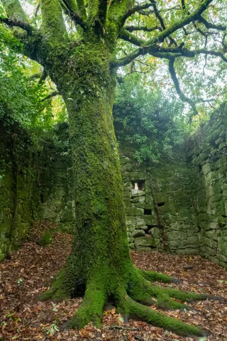 Die mystische und geheimnisvolle Ruine Escusalla 