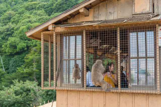 Besucher hinter Gittern