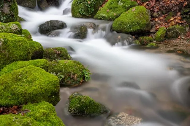 Zufluss zum Rio Nava - 30 Sek bei f/7,1