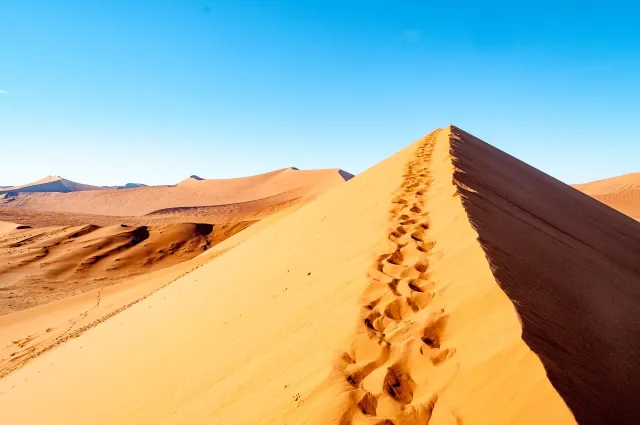 The dune landscape around Dune 45 in the Namib