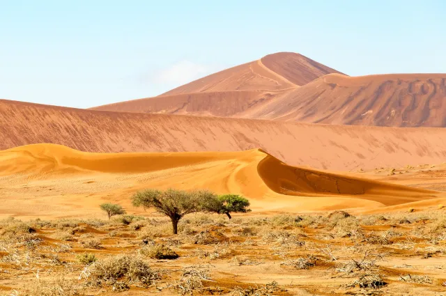 The dunes at Sossusvlei