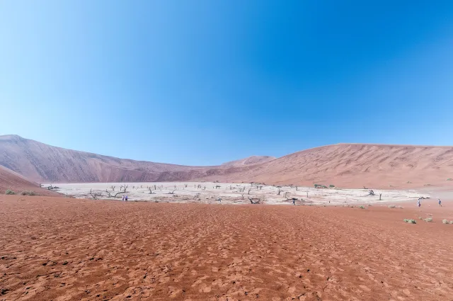 The Deadvlei