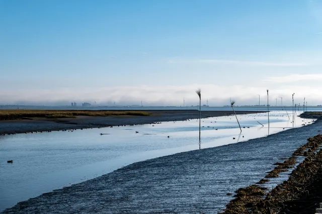 The fairway of the southern port of Nordstrand at low tide