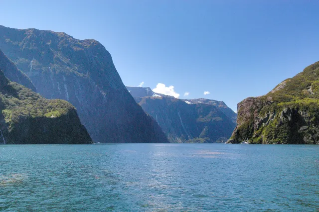 The Milford Sound