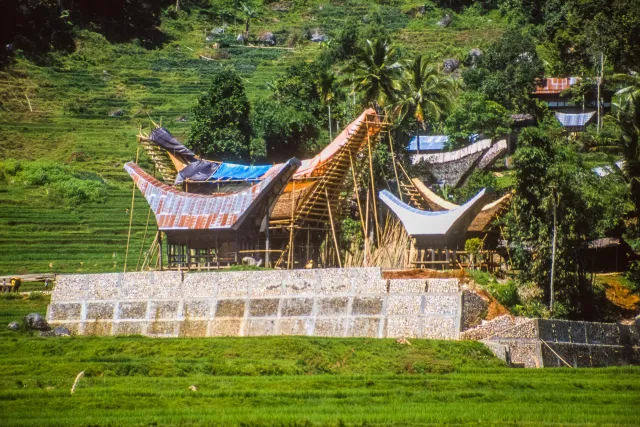 Tongkonan, die beeindruckenden Häuser der Toraja