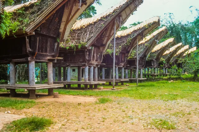 Tongkonan, the impressive houses of the Toraja