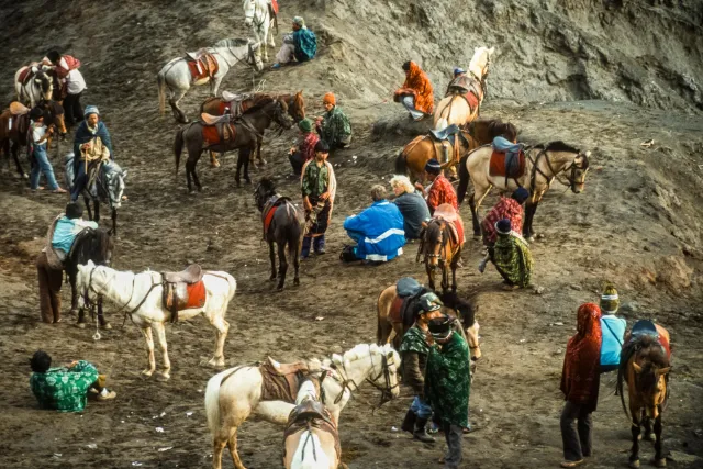 With horses through the Bromo plain