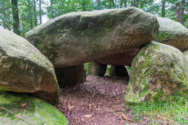 Das Großsteingrab in der Kunkenvenne, auch Großsteingrab von Thuine genannt, Sprockhoff-Nr. 874