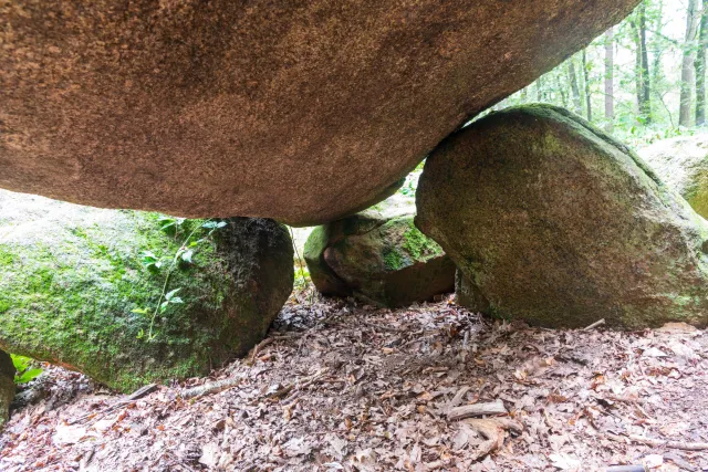 Das Großsteingrab in der Kunkenvenne, auch Großsteingrab von Thuine genannt, Sprockhoff-Nr. 874