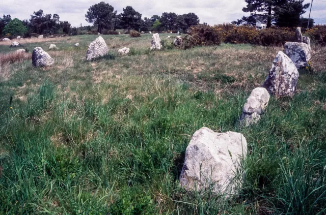 Steinreihen von Carnac