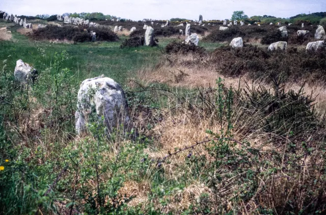 Stone rows of Carnac