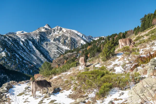 Hiking in the mountains of Andorraa