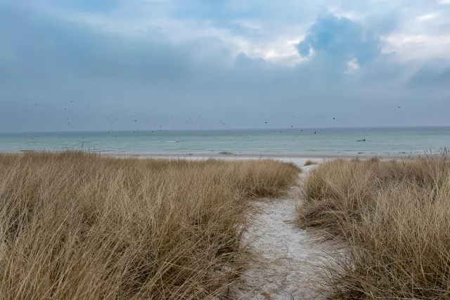 Trailrun durch die Dünen von Dueodde zur Ostsee