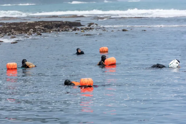 The sea women (Haenyo) from the South Korean island of Jeju.