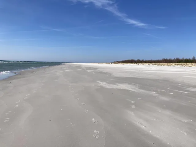 On the beach between Dueodde and Snogebaek