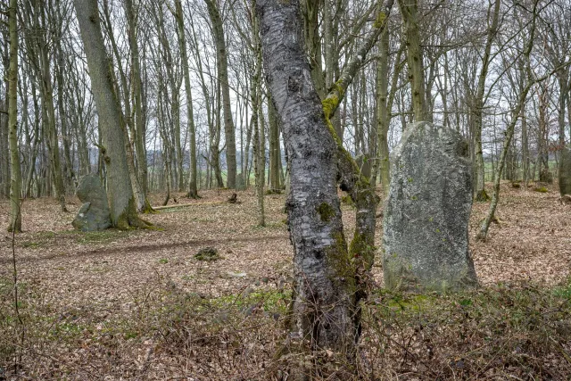 The stone circle Gryet