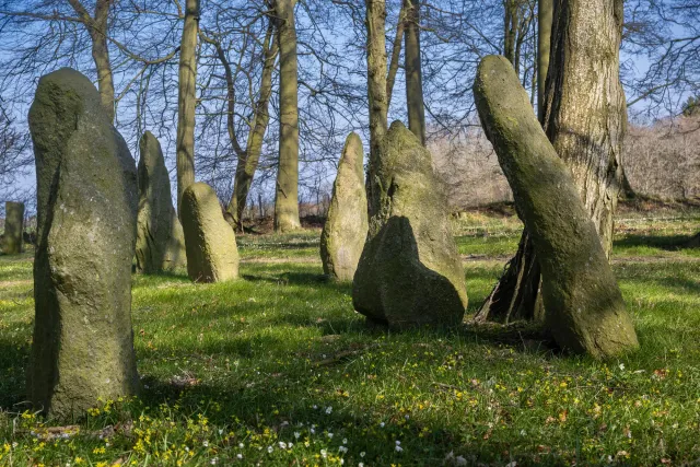 Menhirs or Bautasteine in Louisenlund