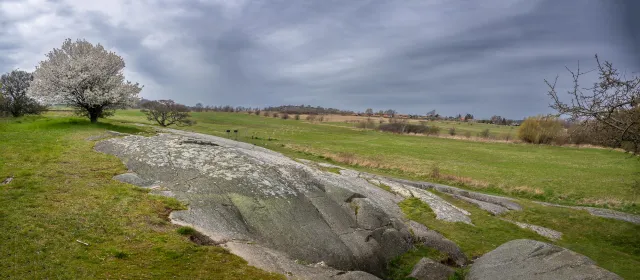 Steinritzungen in Madsebakke auf Felsaufschluss bei Allinge-Sandvig