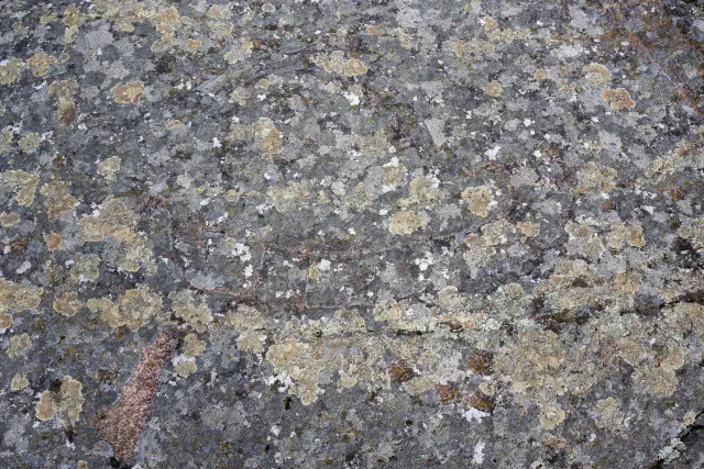 Stone carvings of various symbols in Madsebakke