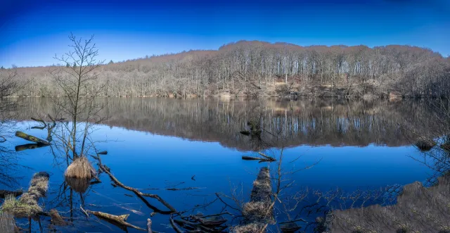 The lakes of the beech forests