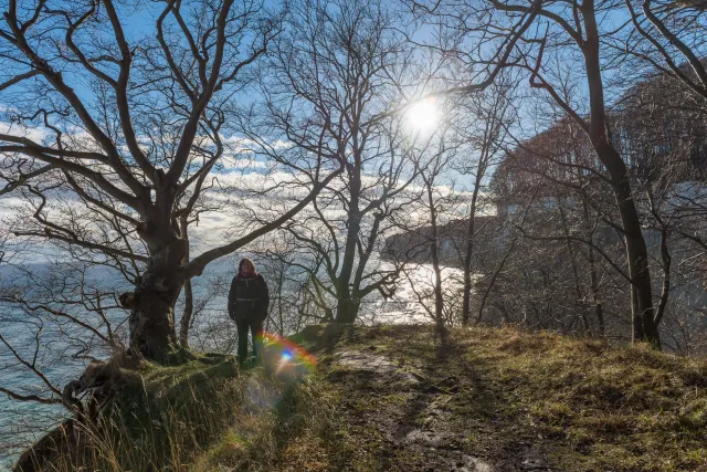 Die bekannten Kreidefelsen von Rügen