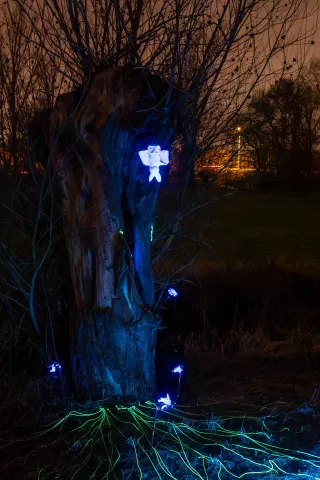 Nächtliche Baumgeister im Park von Mechelen