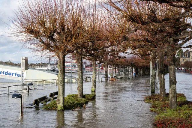 Flooding on the banks of the Rhine near Königswinter