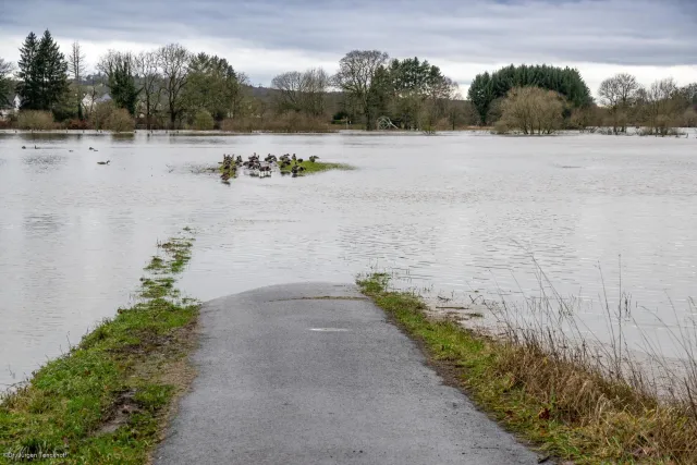 Flood of the river Sieg