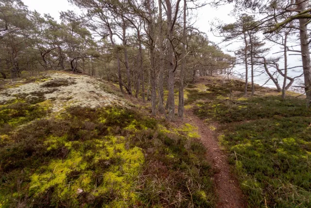 Trail from Bakkerne Havn to Snogebæk